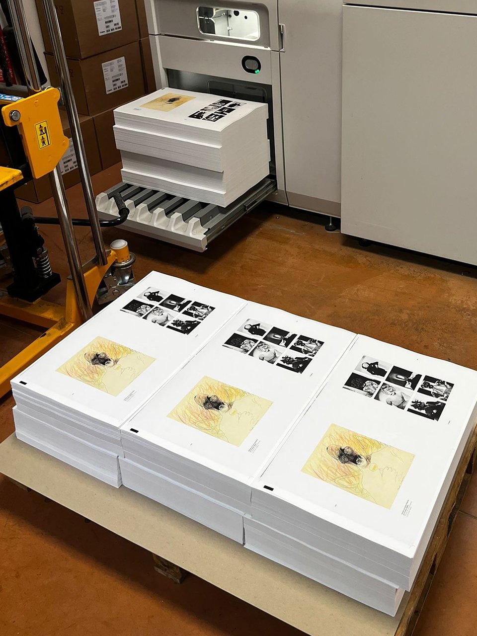 Empresa de artes gráficas e Impresión digital | Gráficas Muriel | | the book impresion 3